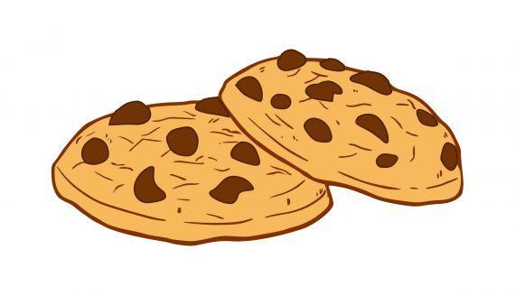 A picture of two chocolate chip cookies